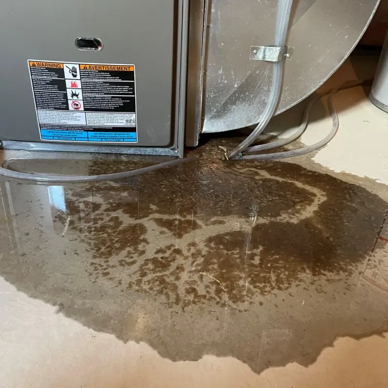 Appliance Leak Cleanup in Black Creek, WI